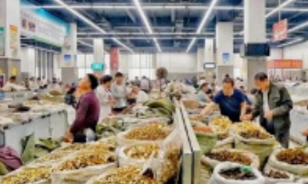 亳州药材市场最新行情播报(3.24)