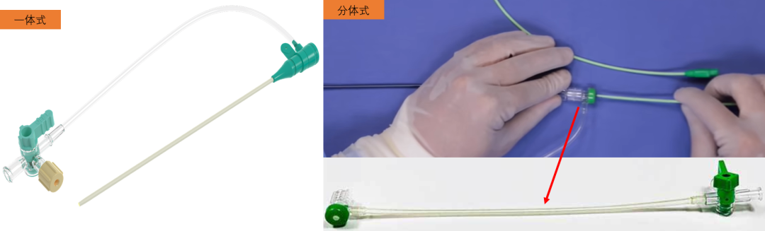 导管鞘怎么念导管鞘的介绍_https://www.jmylbn.com_新闻资讯_第3张