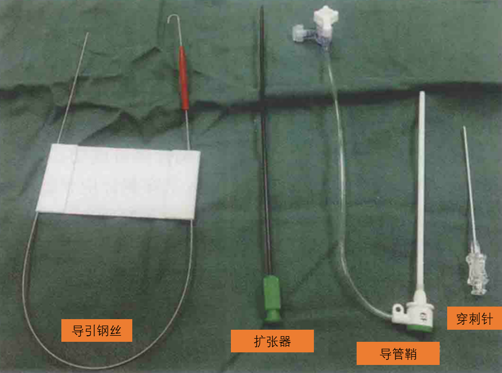 导管鞘怎么念导管鞘的介绍_https://www.jmylbn.com_新闻资讯_第8张