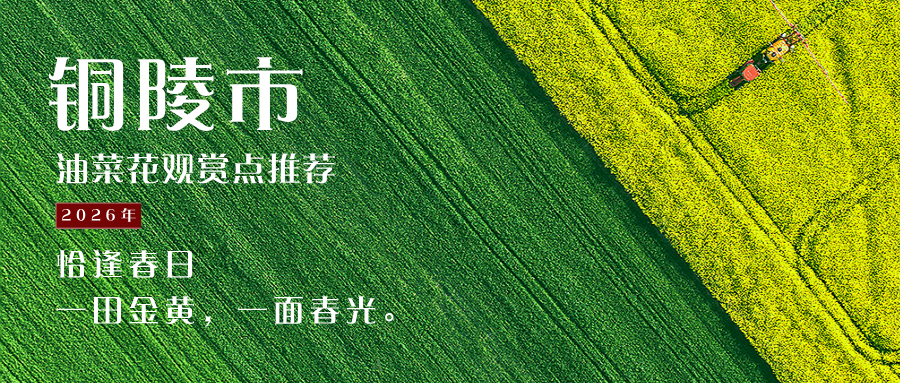 清新芒种图文祝福公众号首图__2026-03-09 17_21_19.png