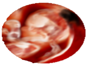 三星彩超怎么样【便民服务】四维彩超界“新王者”——三星HERA女神超声仪，给孕妈妈们一份安心！_https://www.jmylbn.com_新闻资讯_第9张