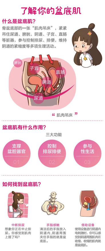 盆底肌康复治疗仪怎么用龙泉市中医医院引进盆底康复治疗仪，帮助您与女性尴尬说拜拜！_https://www.jmylbn.com_新闻资讯_第10张