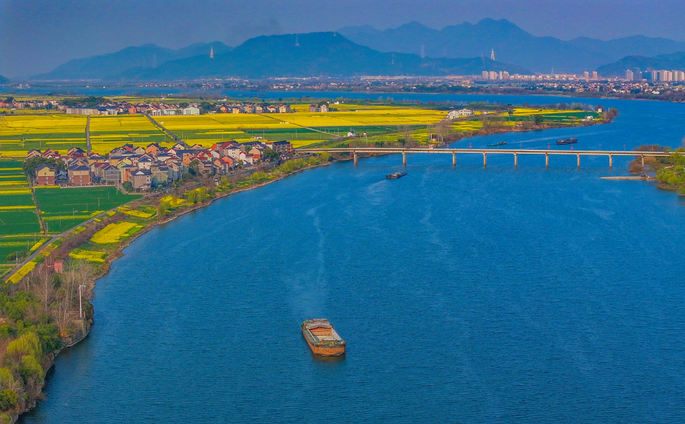 桐洲岛 桐洲大桥（蔡富明 摄） (2).jpg
