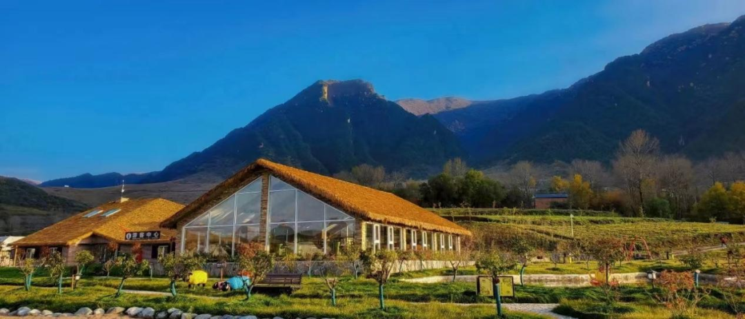 临洮10大热门景区临洮一票通(周末版)原价363.