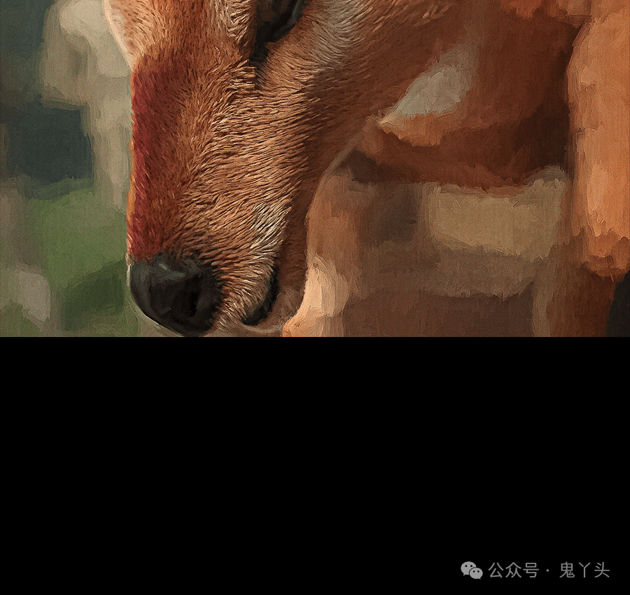ͼƬ