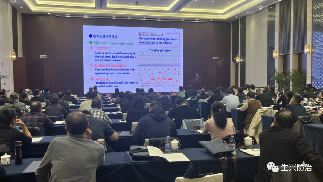松材线虫病防治新模式介绍