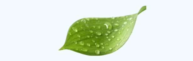 d-spect怎么检查PSMA PET／CT、SPECT／CT检查注意事项_https://www.jmylbn.com_新闻资讯_第19张