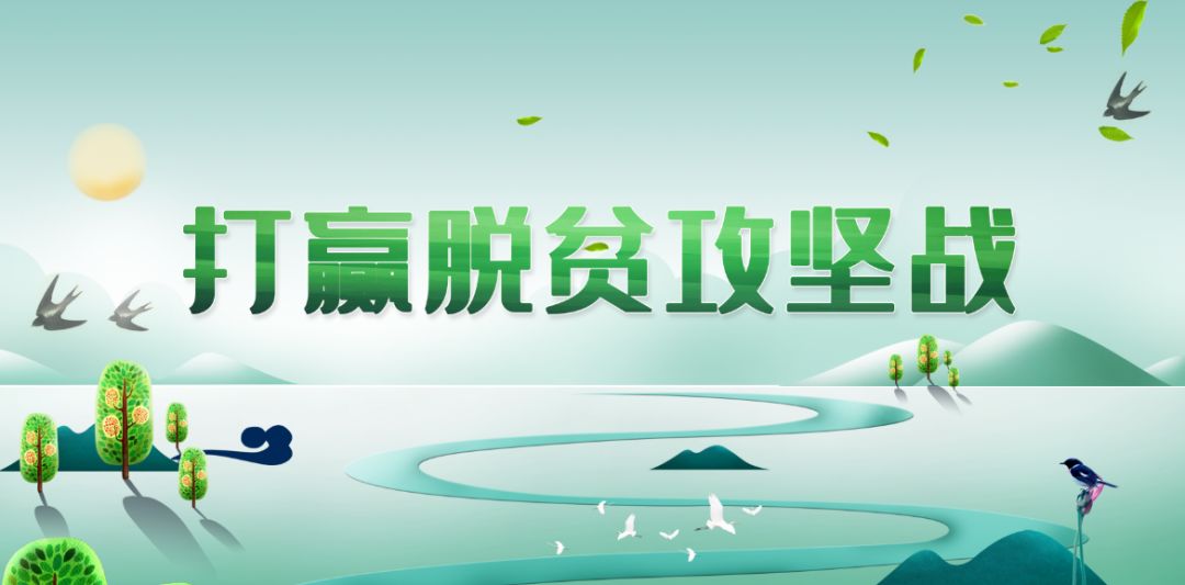 致富经创业养殖牛视频_致富经养牛视频_养牛视频致富经