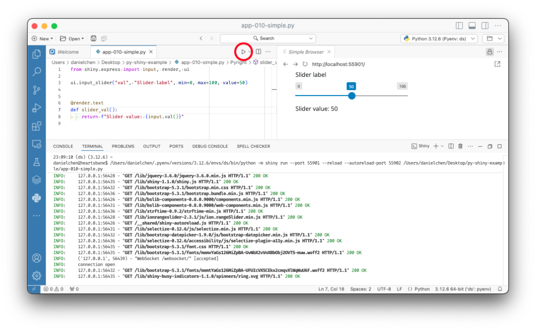 在 IDE 中运行 Shiny 应用