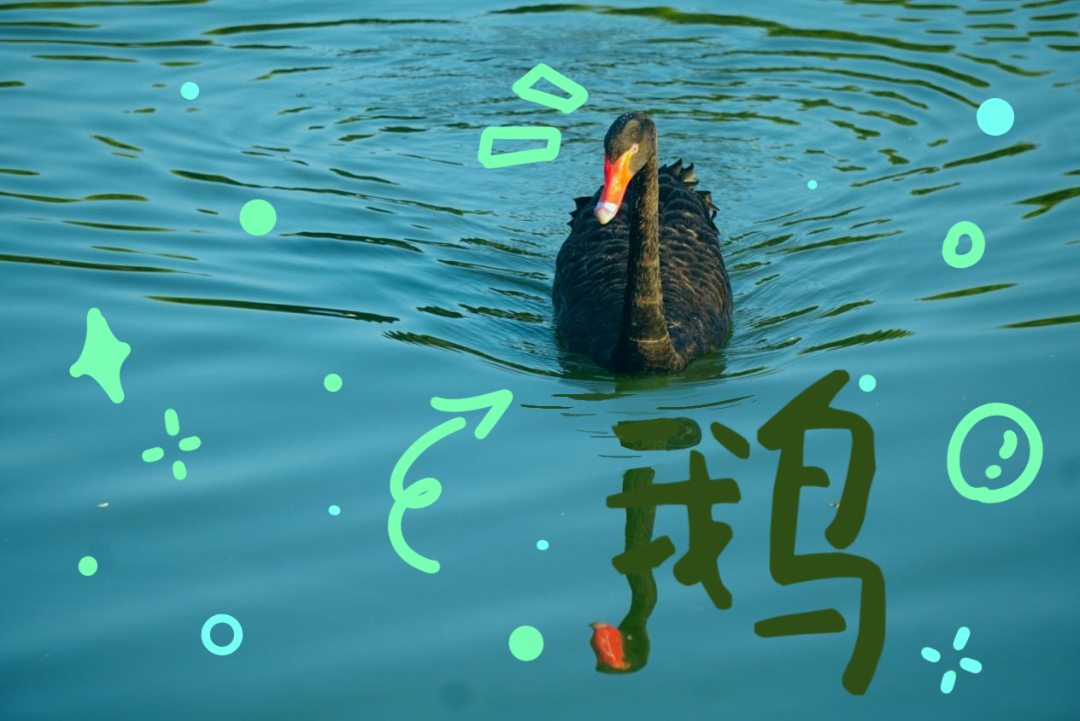 4储明慧.png