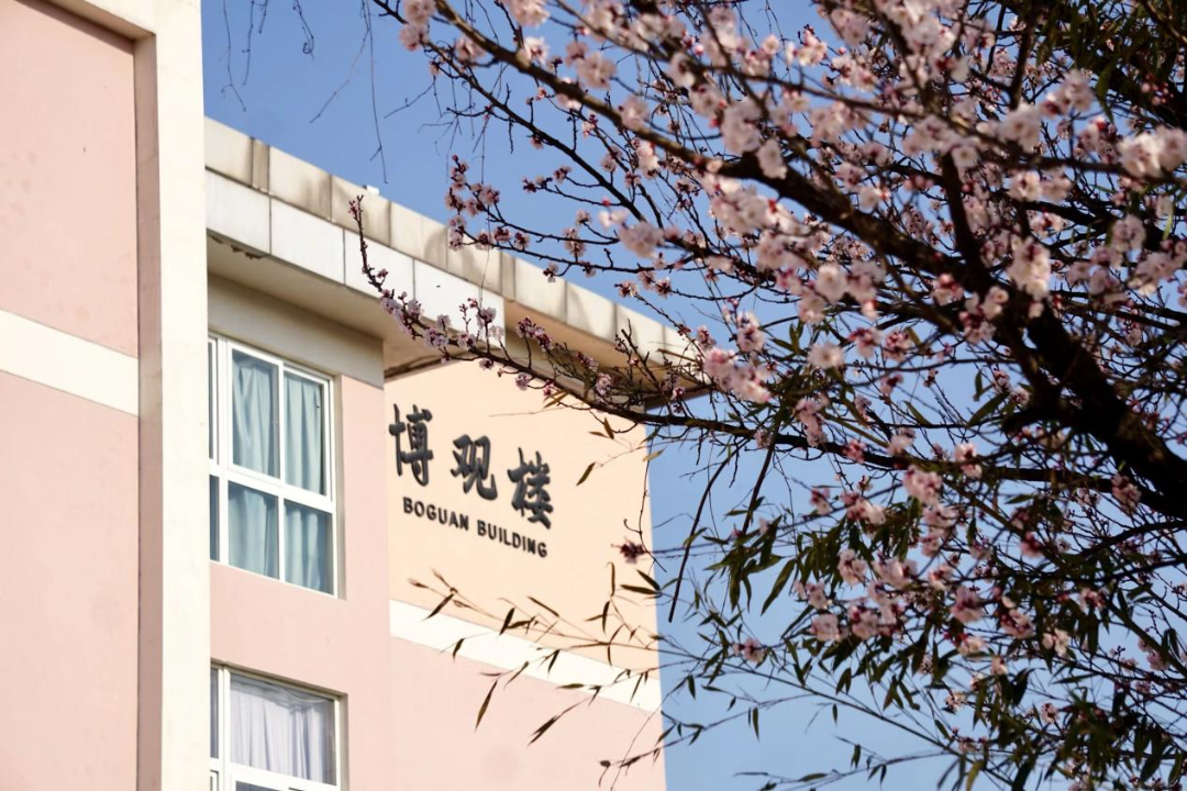 图片14.png
