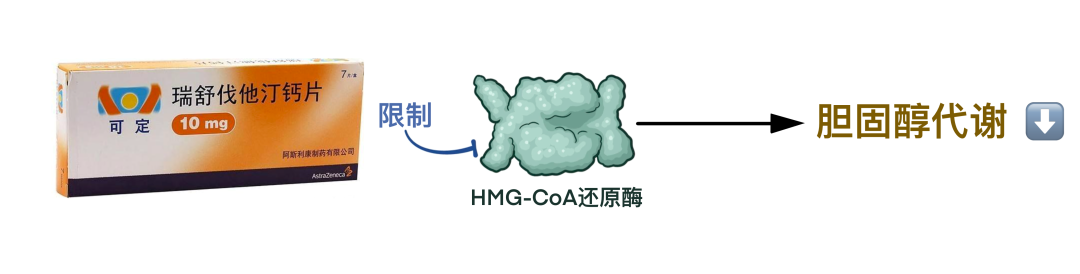常见降脂药物——他汀类药物