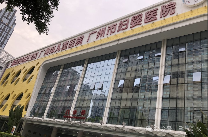 在广州医院做试管排名_广州试管成功率排名_广州试管成功率高的医院