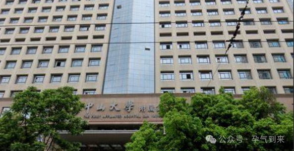 广州试管成功率高的医院_在广州医院做试管排名_广州试管成功率排名