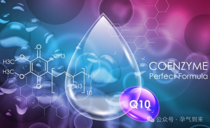 广州试管成功率排名_在广州医院做试管排名_广州试管成功率高的医院