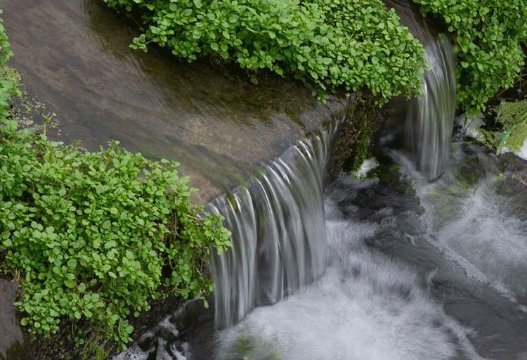 流水-1.png