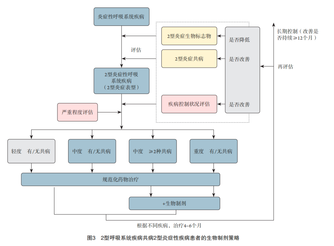 abp在医学是什么意思指南与共识︱2型炎症性呼吸系统疾病管理：中国专家共识[2024]_https://www.jmylbn.com_新闻资讯_第26张