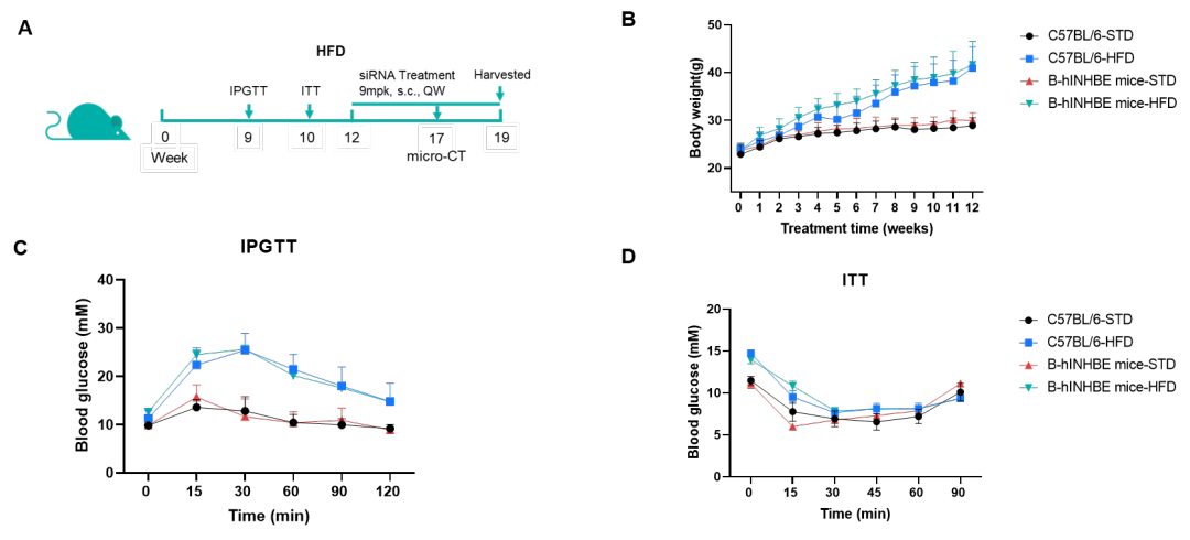 INHBE-1.png