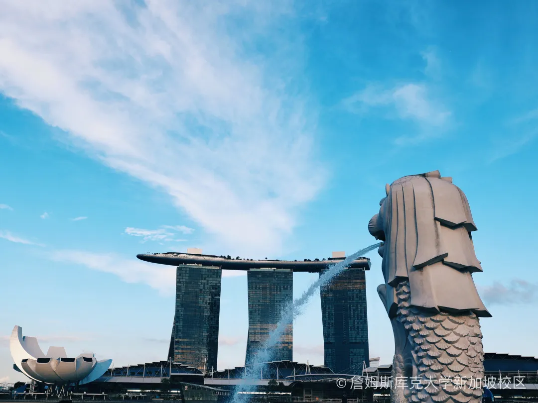 新加坡simplygo怎么使用新加坡留学生活全攻略：一篇搞定你的留学之旅_https://www.jmylbn.com_新闻资讯_第27张