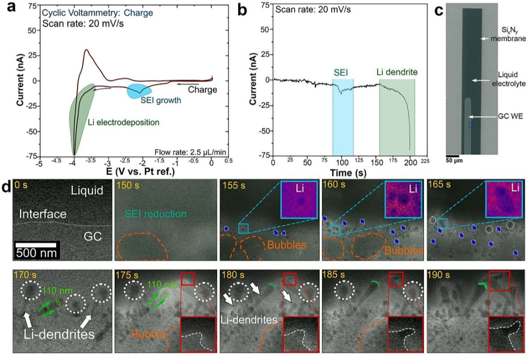nano energy重磅爽文：洞悉锂枝晶的前世今生！