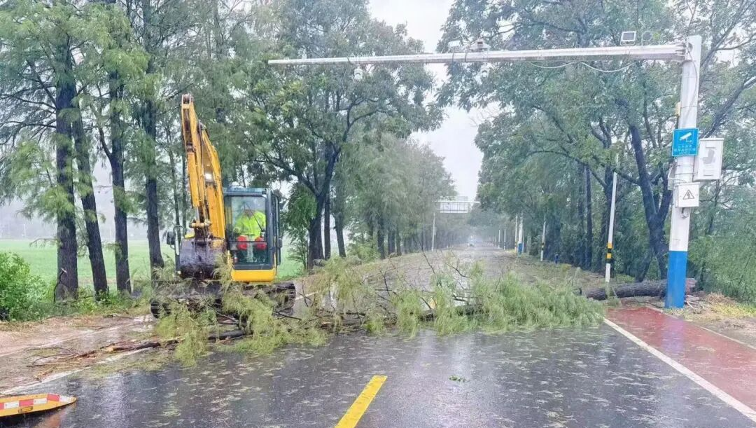 公路养护人员在斗门区小赤坎村紧急清理倒伏树木.jpg