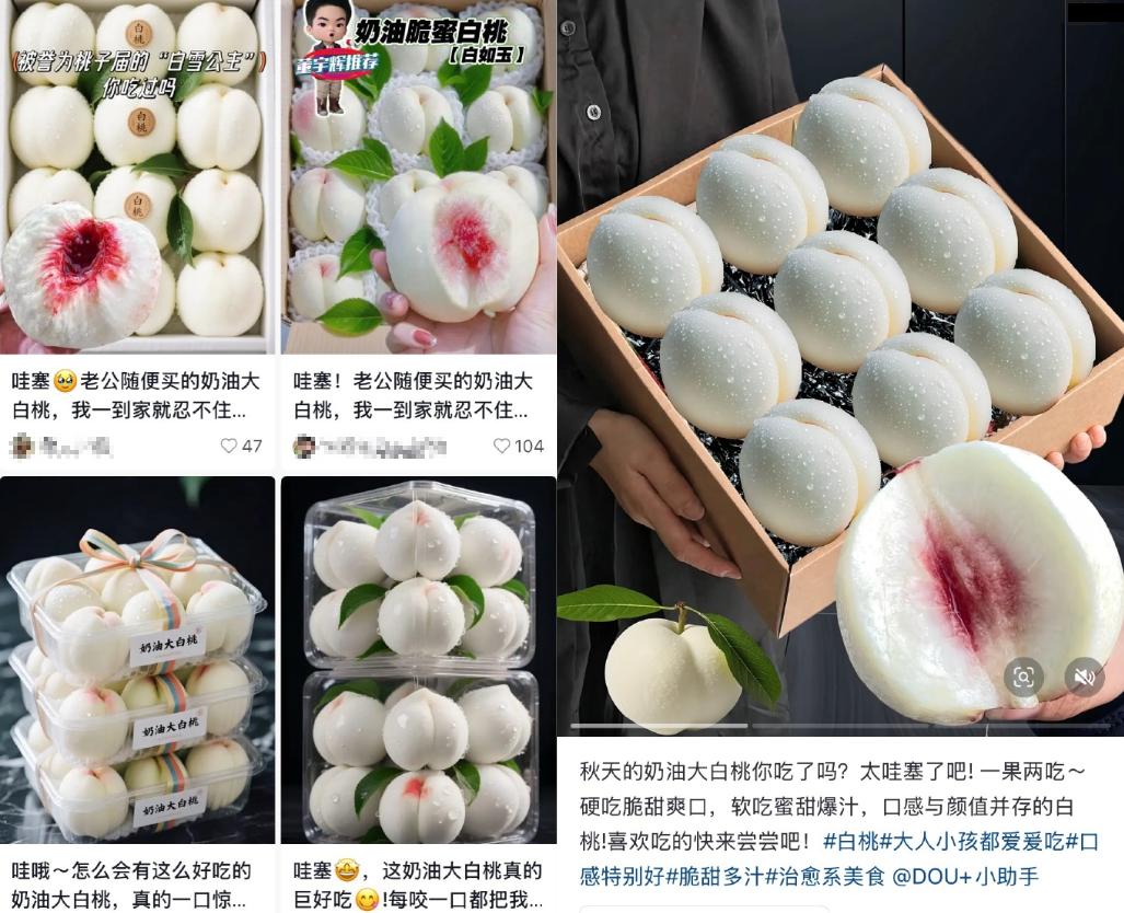 仅退款 AI图