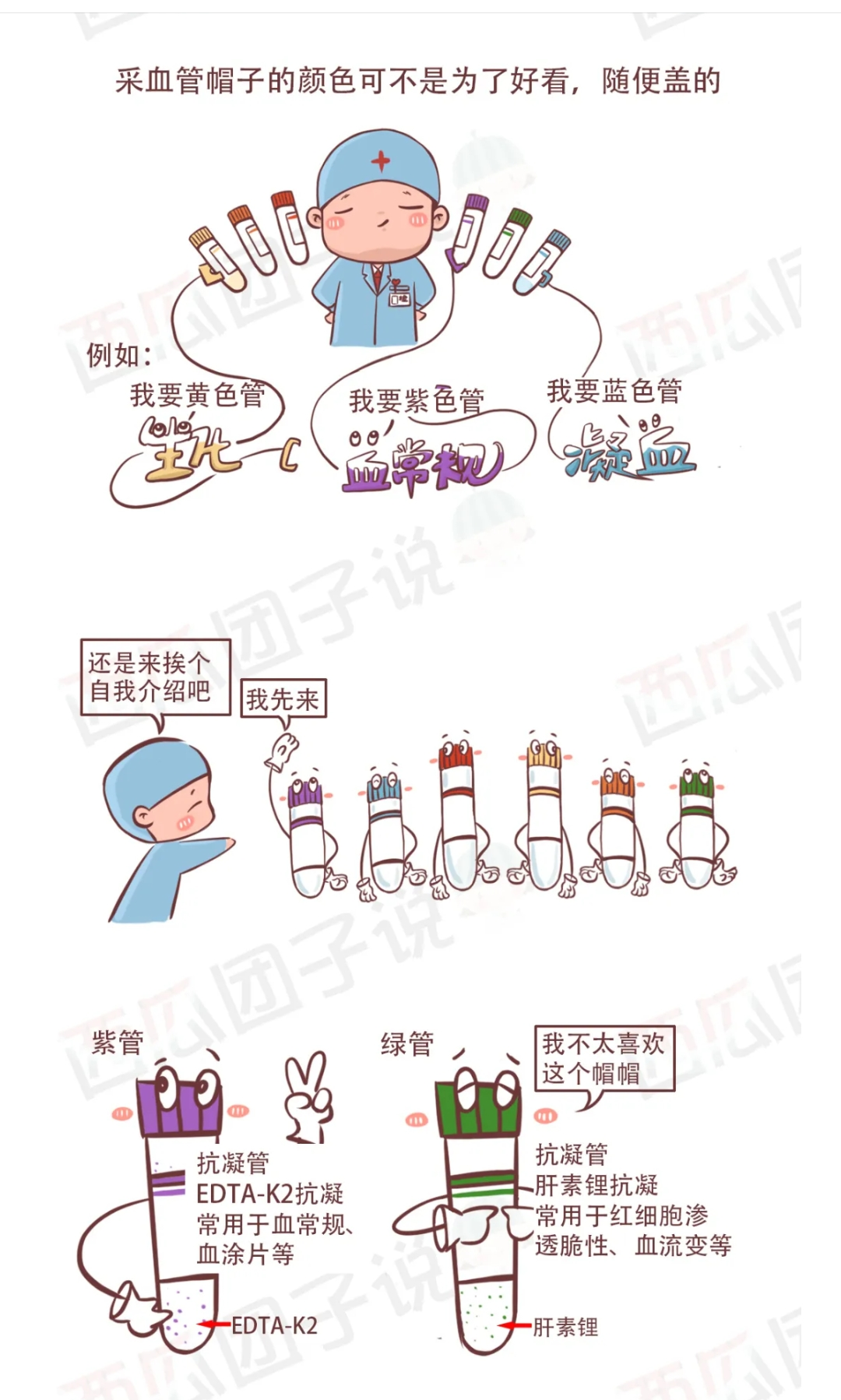 采血管颜色代表什么【科普】检验科那些五颜六色的采血管是什么？_https://www.jmylbn.com_新闻资讯_第3张