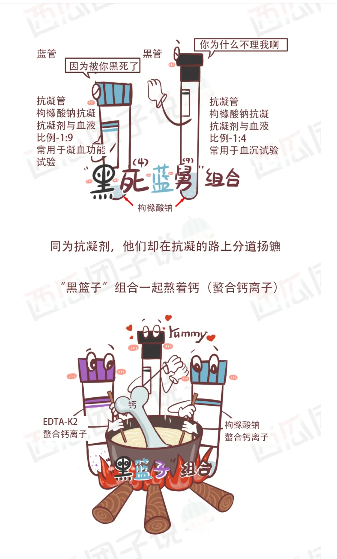 采血管颜色代表什么【科普】检验科那些五颜六色的采血管是什么？_https://www.jmylbn.com_新闻资讯_第4张