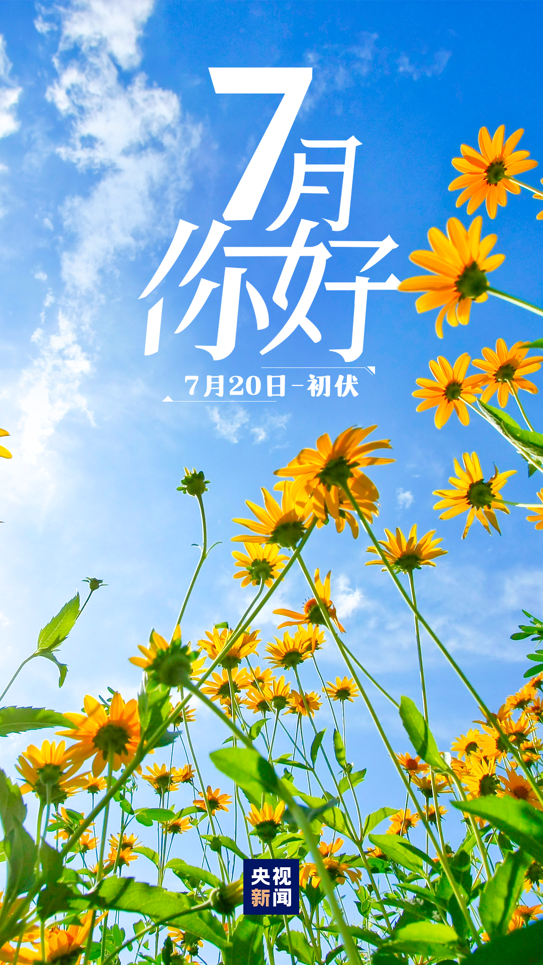 7月,你好!