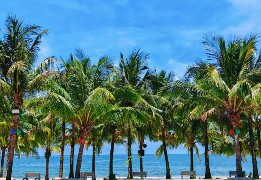 △圖片來源：網(wǎng)友@Cindy夢夢