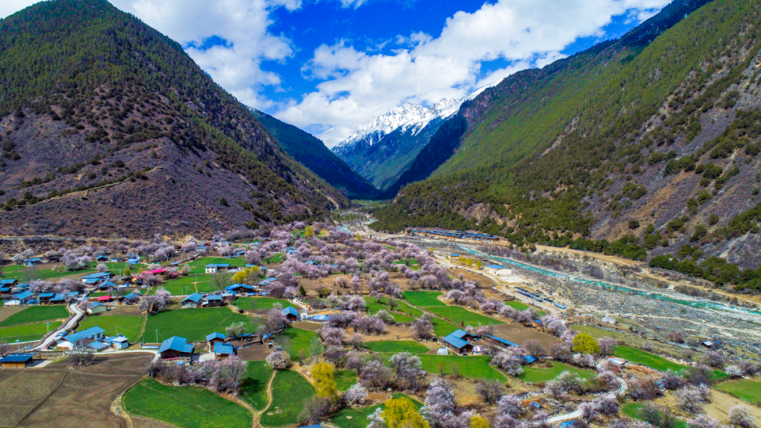 林芝最佳旅游季节图片