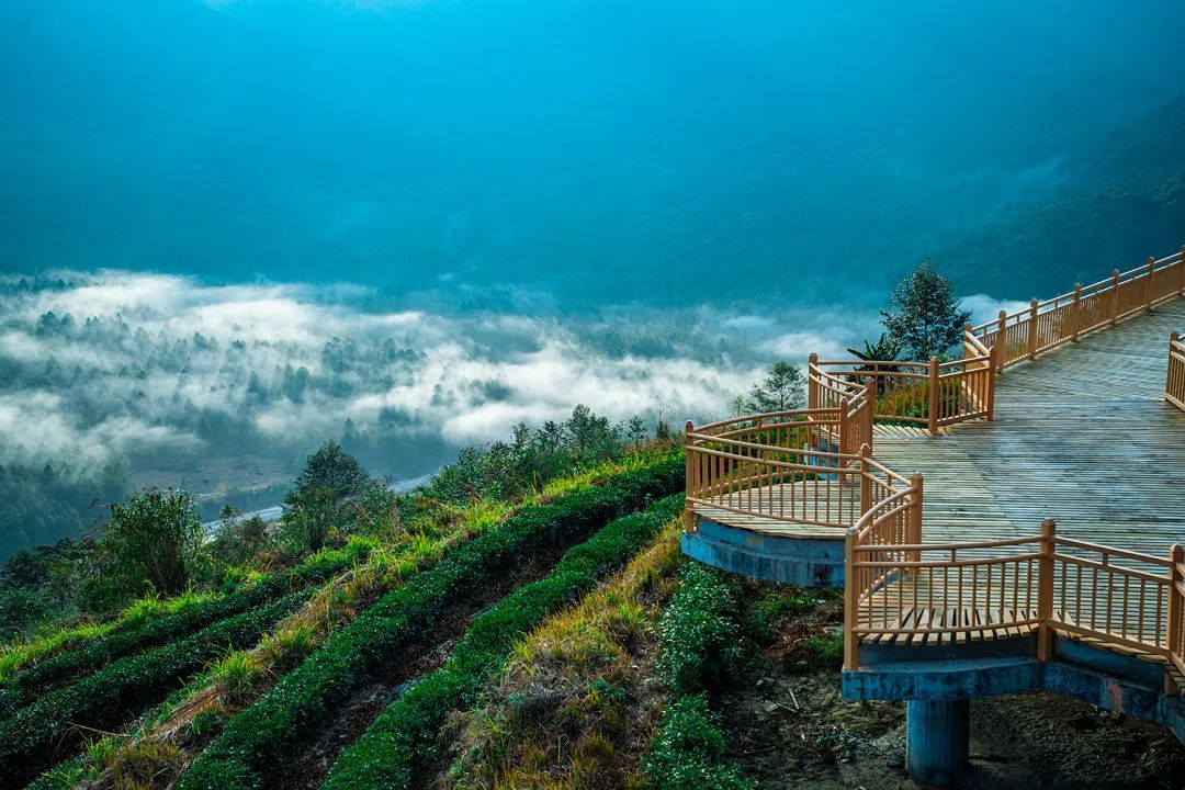 林芝市旅游发展局