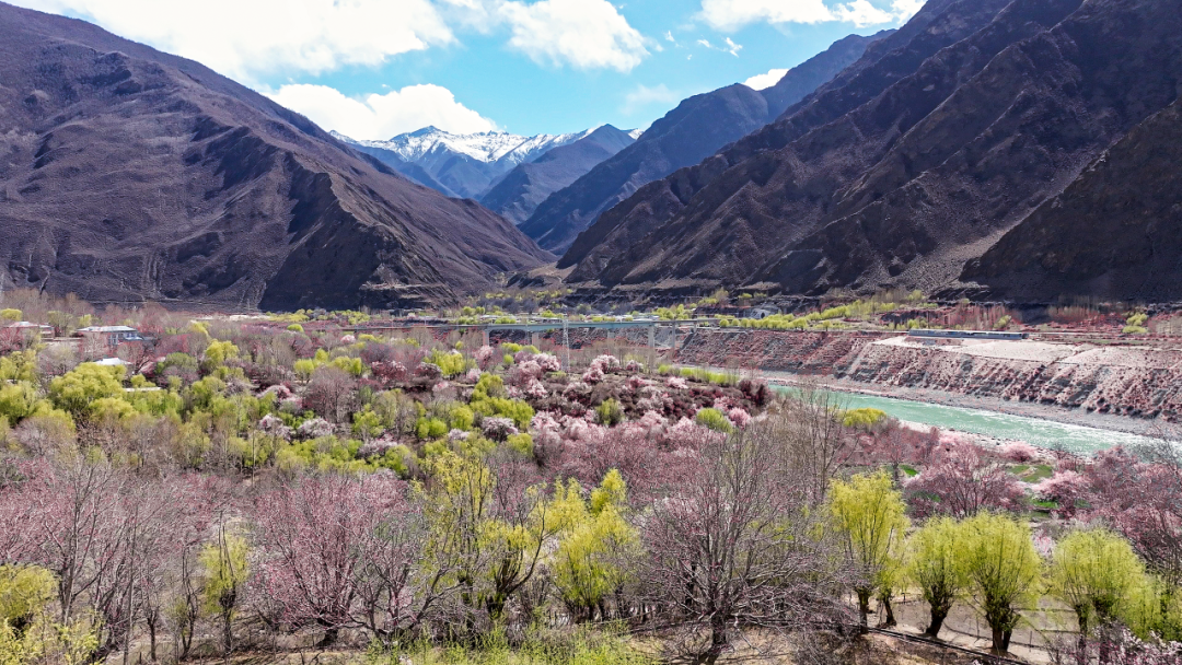 林芝市旅游发展局