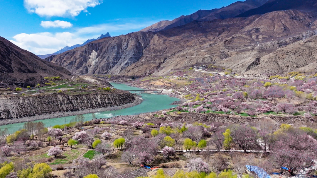林芝市旅游发展局