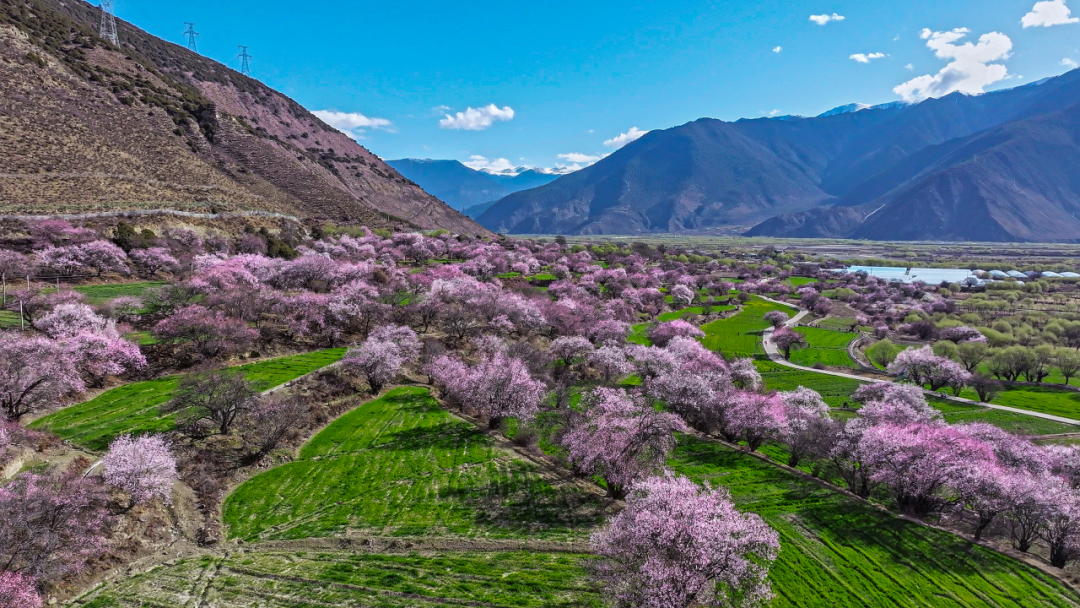 林芝市旅游发展局