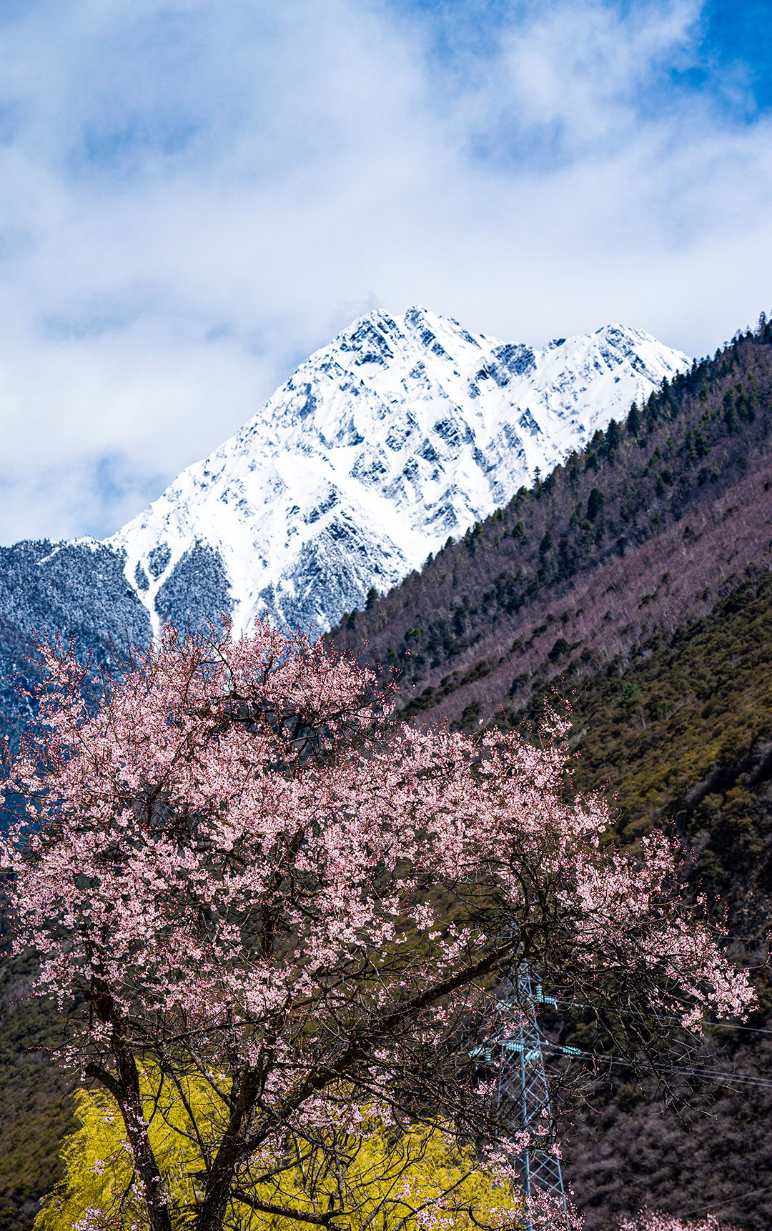 林芝市旅游发展局
