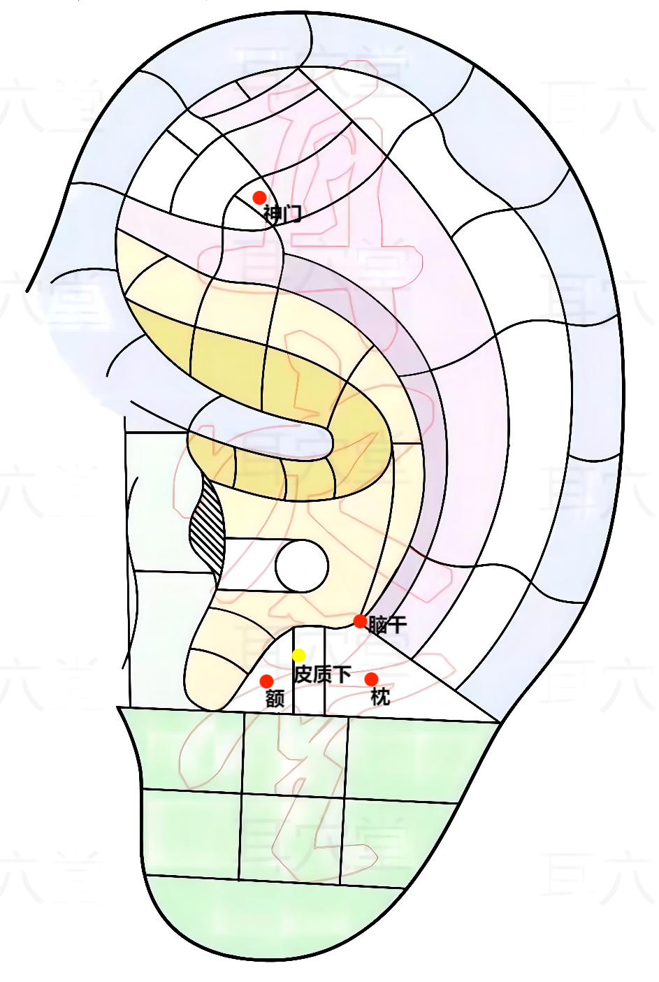 耳穴探测笔怎么使用耳穴埋针治疗学生考场综合征_https://www.jmylbn.com_新闻资讯_第4张