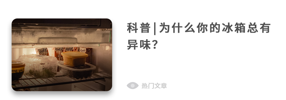Android 12 Beta 2 更新详解：更好看的主题和动画，还有……
