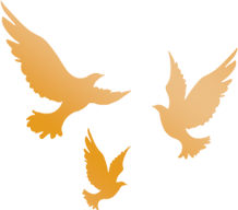 640 (8).png