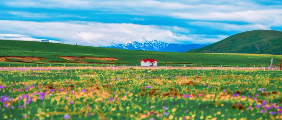 被称“下一个瑞士”，夏季不超过20℃，花海雪山不输新疆，最近官宣门票免费！