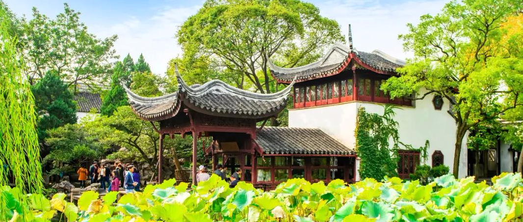 六月，建议你去一次山东