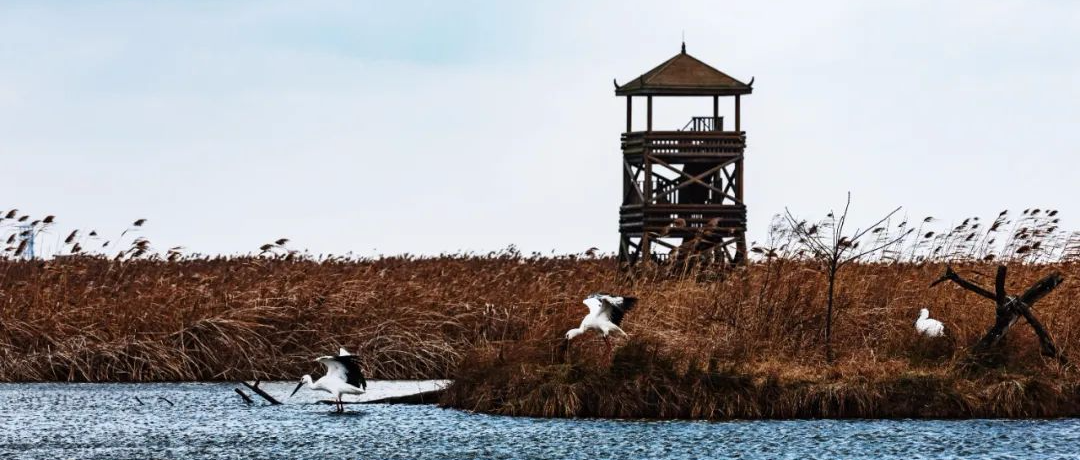 中国唯一没有山的城市，实在太仙了