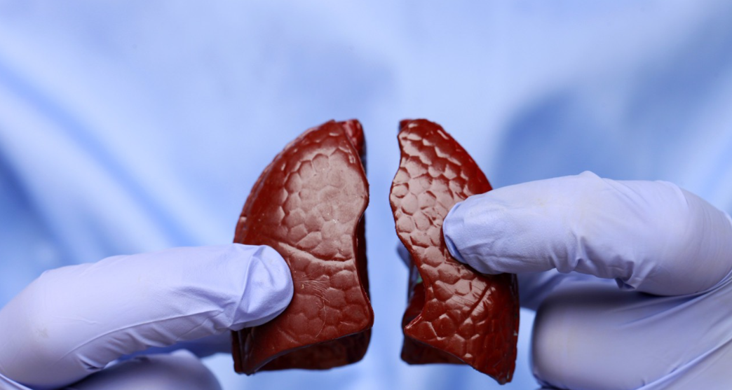 为什么人需要氧气科普 ｜ 我们为什么那么需要氧？哪些人容易缺氧？_https://www.jmylbn.com_新闻资讯_第11张