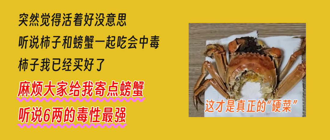 未命名 (11).png