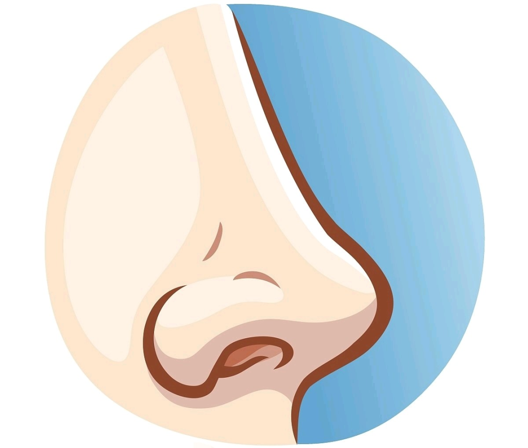 耳鼻喉内窥镜检查是检查什么什么是耳鼻喉内窥镜检查？如何配合完成内镜检查_https://www.jmylbn.com_新闻资讯_第5张