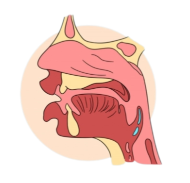 耳鼻喉内窥镜检查是检查什么什么是耳鼻喉内窥镜检查？如何配合完成内镜检查_https://www.jmylbn.com_新闻资讯_第6张