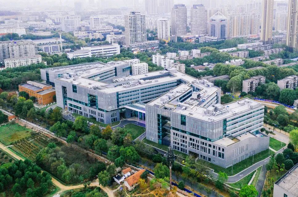 上海同济大学中德学院图片
