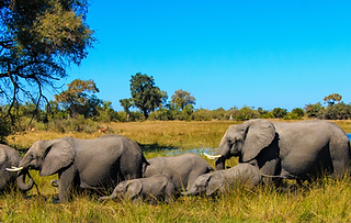 Journey Africa 揪你去南非｜南非深度旅遊