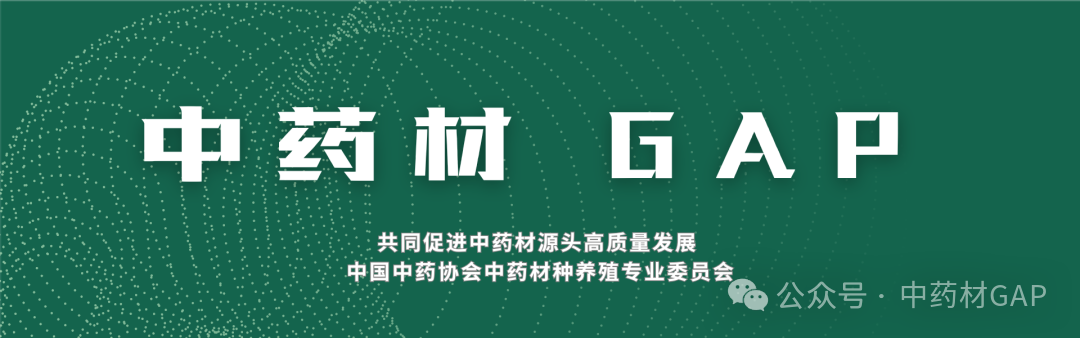 工业和信息化部等八部门联合印发《中药工业高质量发展实施方案（2026—2030年）》