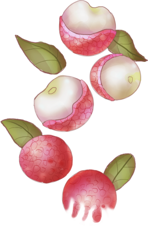 价格腰斩，低至7.99元/斤！成都人“荔”刻安排→插图8